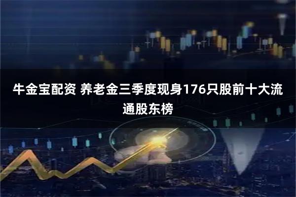 牛金宝配资 养老金三季度现身176只股前十大流通股东榜
