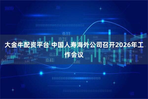 大金牛配资平台 中国人寿海外公司召开2026年工作会议